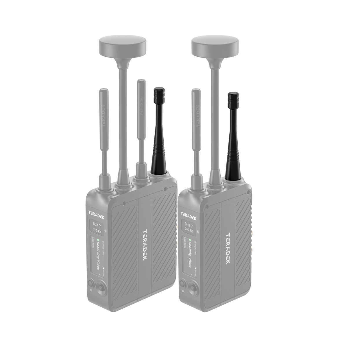 Teradek 900 MHz Antenna for Bolt 7