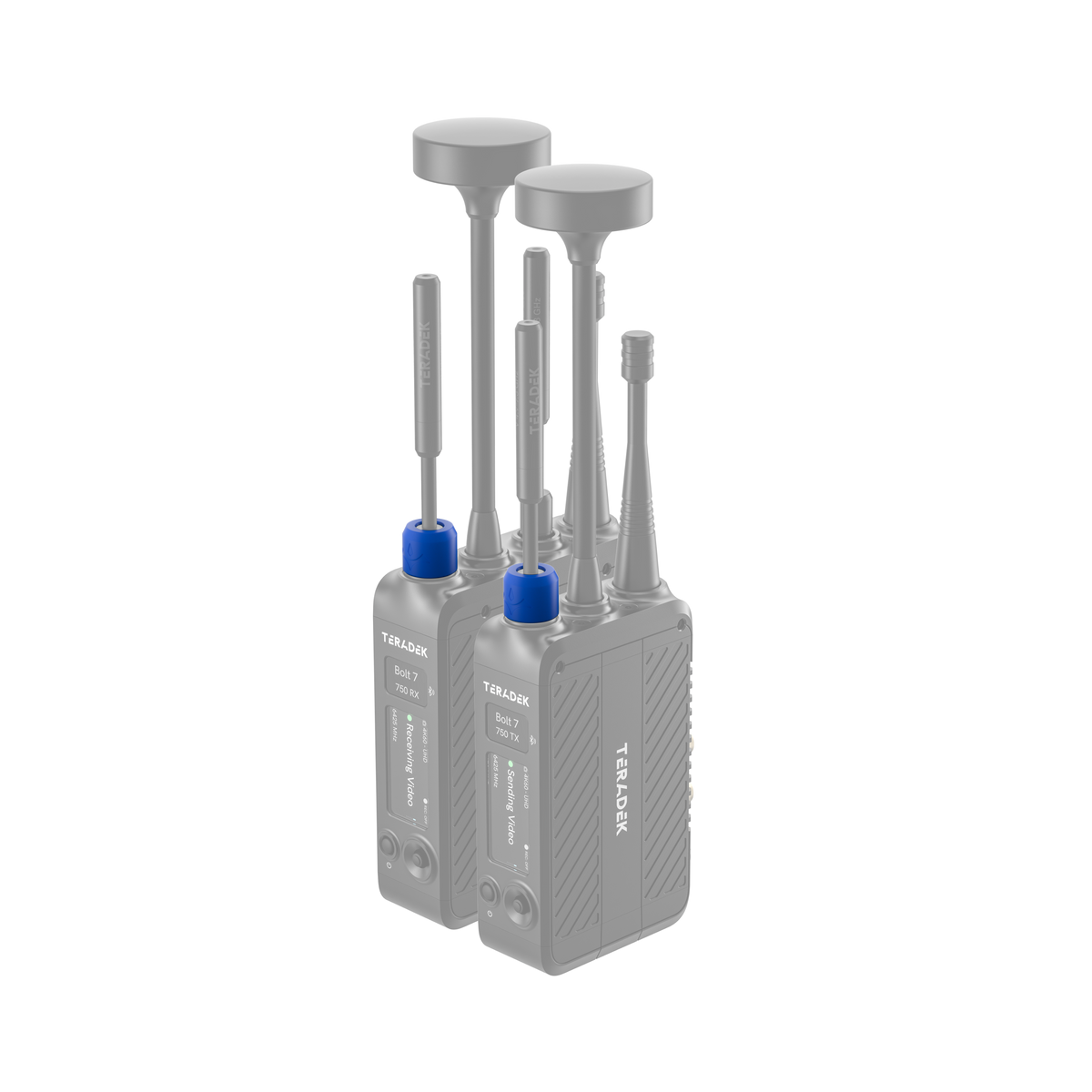 Teradek Bolt 7 Basic Color Band Set