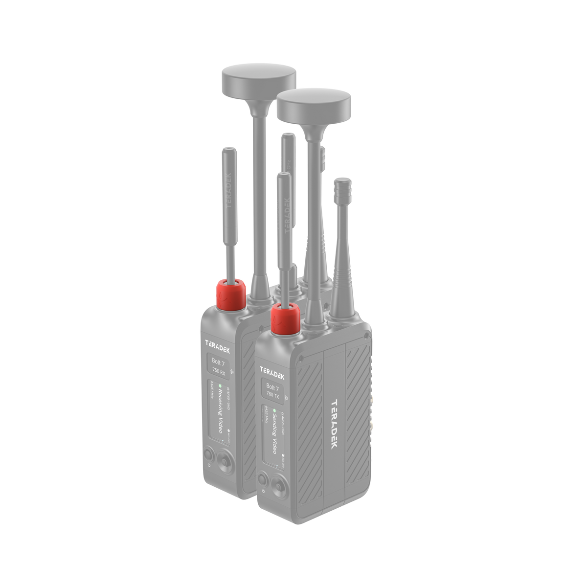 Teradek Bolt 7 Basic Color Band Set
