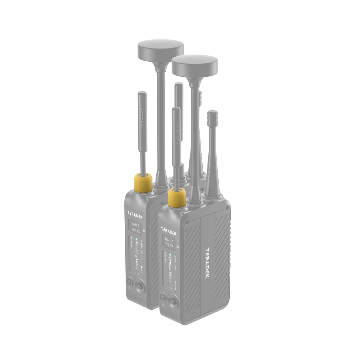 Teradek Bolt 7 Basic Color Band Set