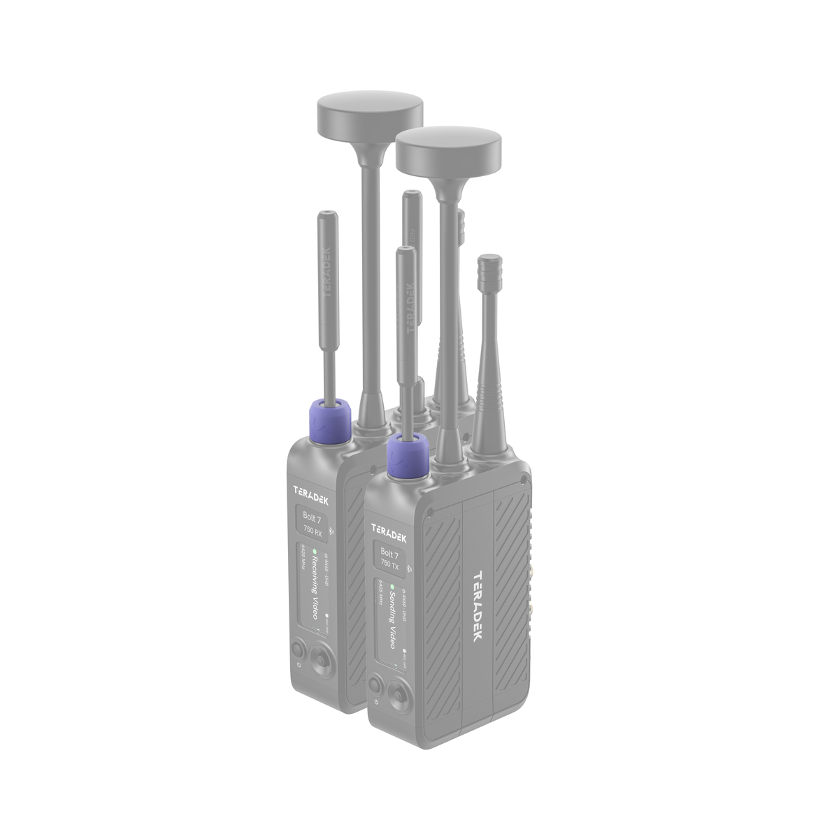 Teradek Bolt 7 Color Band Set #2