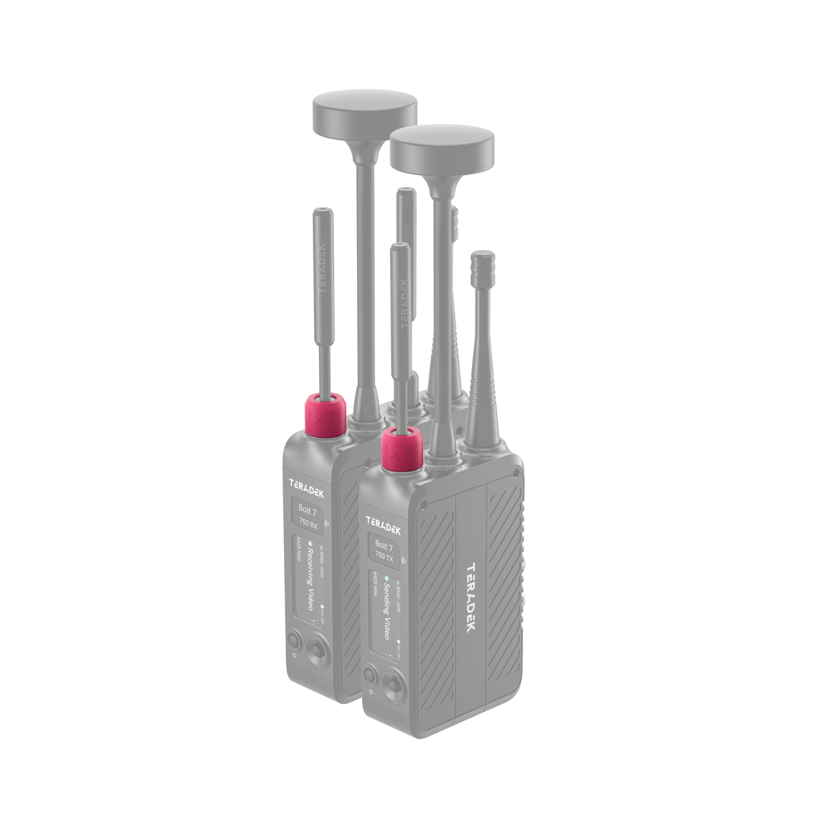 Teradek Bolt 7 Color Band Set #2