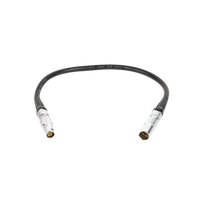 Wooden Camera Alterna Cables - Canon C200, C200B, C300mkII Power Extension (Straight, 12")