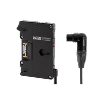 Wooden Camera WC Pro Gold Mount (4pin XLR Right Angle)