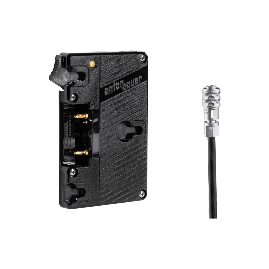 Wooden Camera WC Gold Mount (Blackmagic Pocket Cinema Camera 4K / 6K / 6K G2 / 6K Pro)