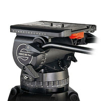 Video 60 Plus EFP