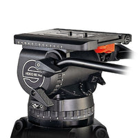 Video 60 Plus EFP