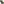 OpenMoon cinematic patch tags