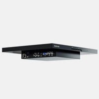 19" Pioneer Monitor