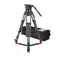 System Video 25 EFP 2 CF