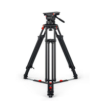 System Cine 30