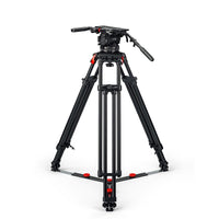 System Cine 30