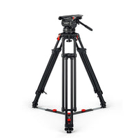 System Cine 50