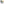 OpenMoon hook-and-loop number tags in white (OCT02)