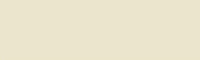 007 Pale Yellow
