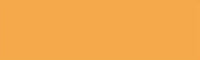 020 Medium Amber