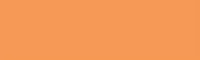 147 Apricot