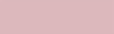 186 Cosmetic Silver Rose