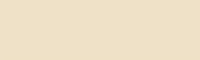 223 Eighth C.T. Orange