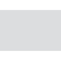239S Polariser