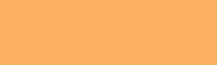 287 Double C.T. Orange