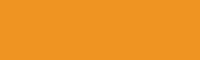 770 Burnt Yellow